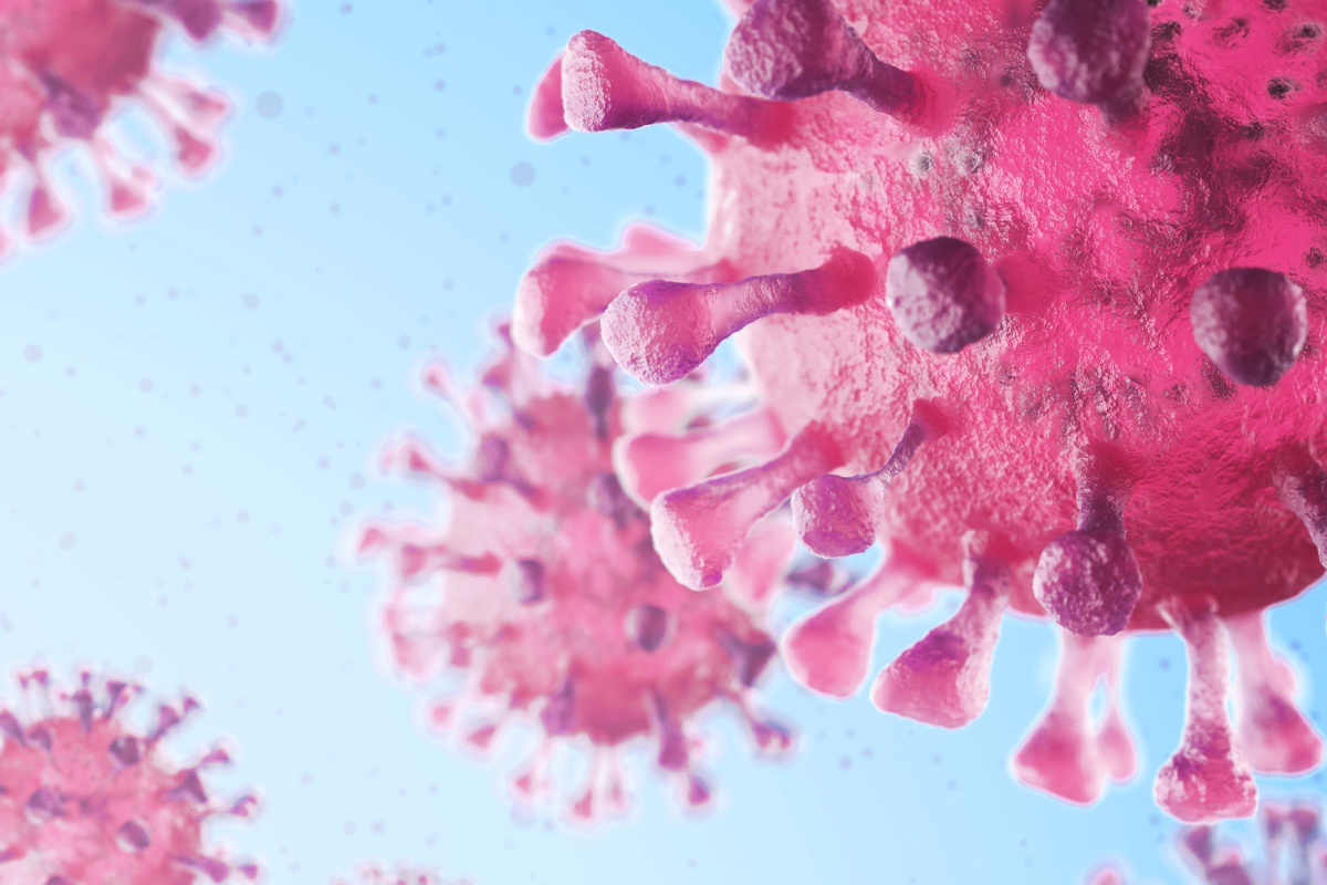 Information about coronavirus